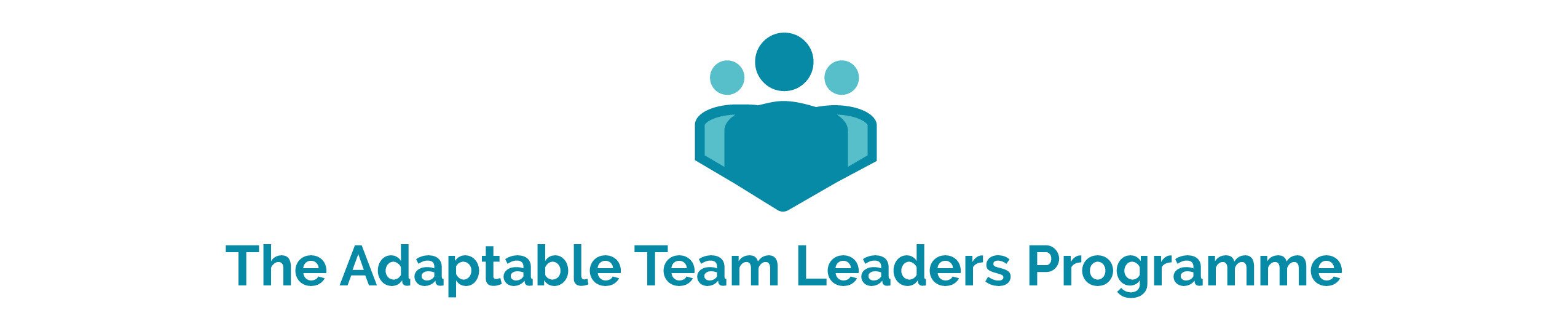 CFT_TEAMLEADER_LOGO